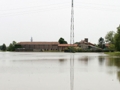 Parco delle risaie_24